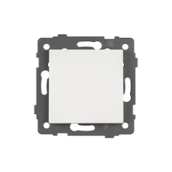 Механизм выключателя одноклавишный непроходной SWT-MK01-PL-WH-V (250V, 10A) (Arlight, -) 049867