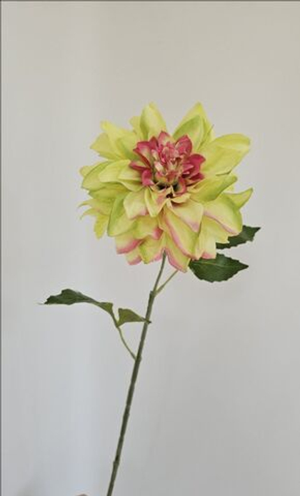 Георгин / Арт 2475