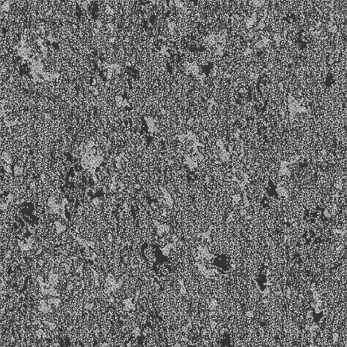 Обои 468-07 Монарх фон Саратов