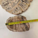 Набор из окаменелого дерева 4 предм Fossil Set NF-63284 поднос 149