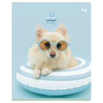 Тетрадь 48л., А5, линия BG "Lovely", микро sandy-touch лак