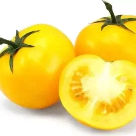 Способы посева томатов