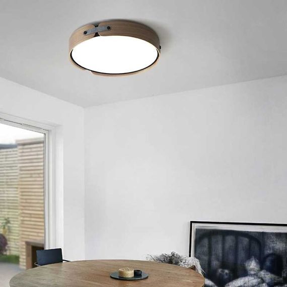 Потолочный светильник Imperium Loft Range 101959-26