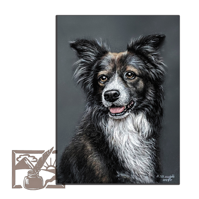 Открытка почтовая. Наталья Шмидт. Бордер-колли