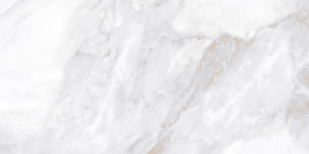 Neodom Marble Ornato Wave Polished 60x120