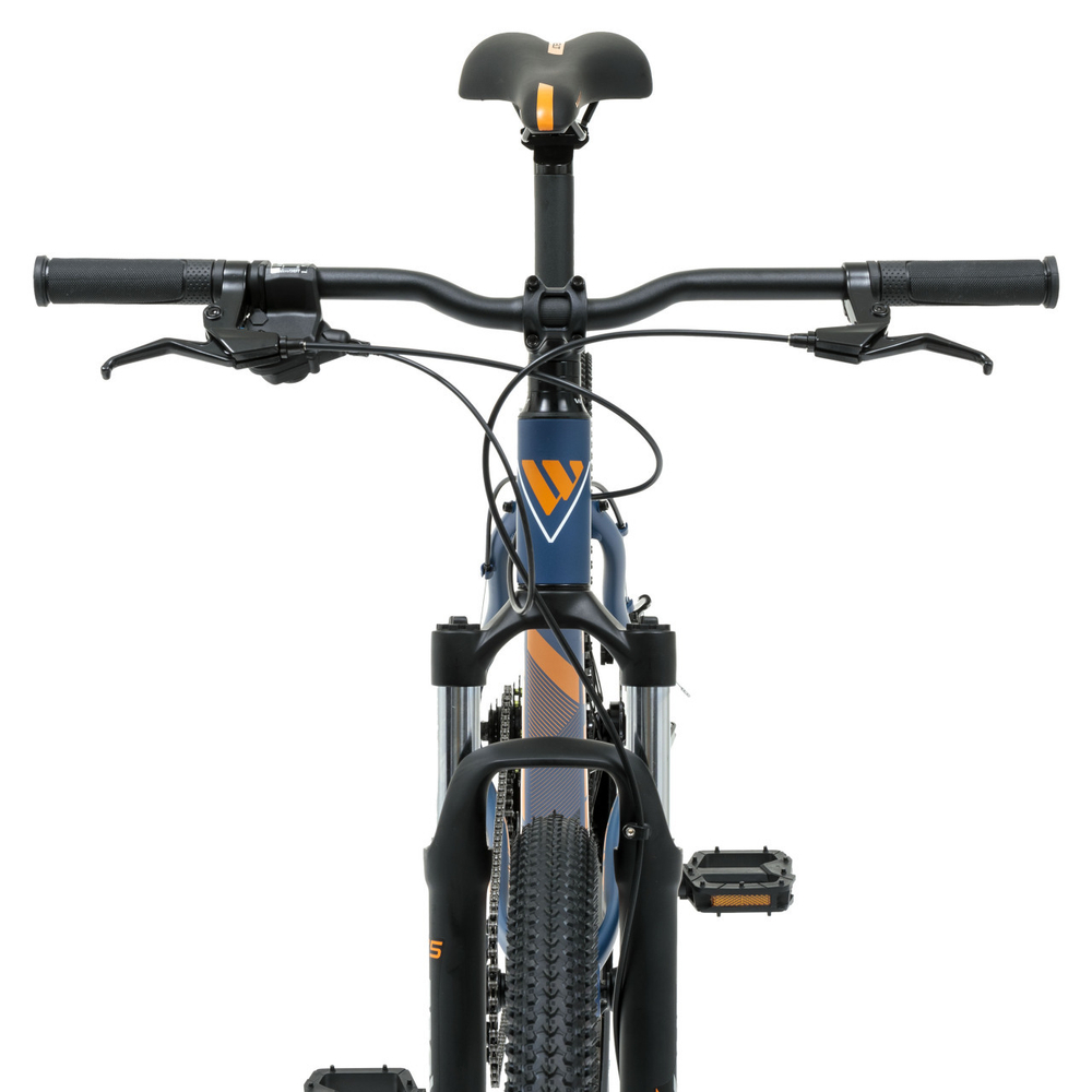 Горный велосипед Welt Ridge 1.1 D 29 (2024)