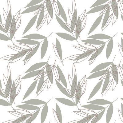 Ветки оливы. Olive branches