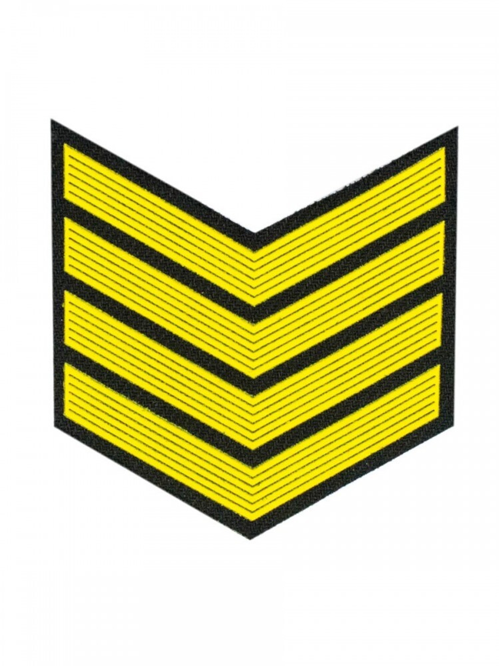 Курсовка пластизол. 4 курс