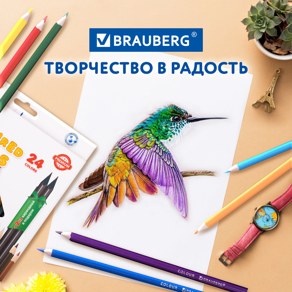 Карандаши цветные BRAUBERG PREMIUM 24 цвета + 2 чернографитных карандаша, трехгранные, грифель 3 мм.