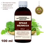 МЕЛИССА - Наполнитель для ароматического диффузора