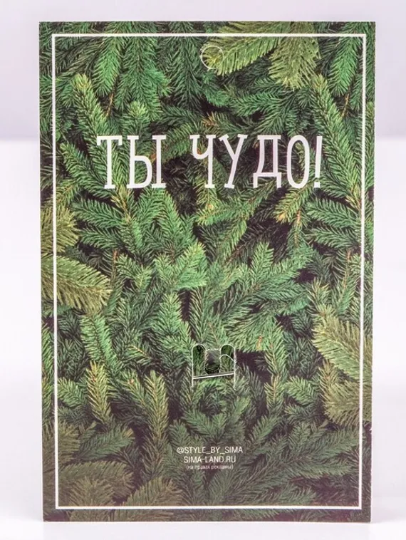 Брошь &quot;Лягушка&quot;, цвет фиолетовый в чернёном серебре