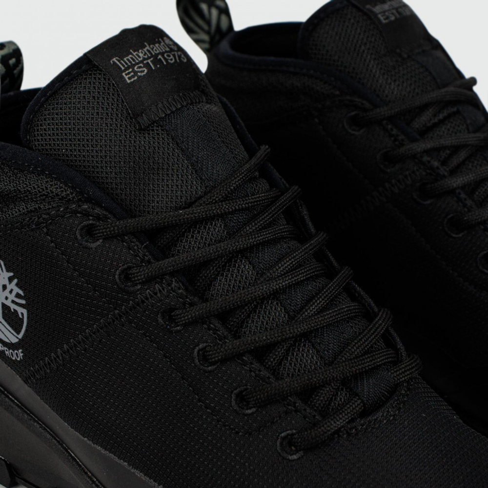 ботинки Timberland Winsor Trail Mid Total Black