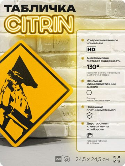 Табличка декоративная "Сайлент Хилл, Silent Hill, Пирамидоголовый" на дверь и стену, прикольная штука в подарок геймеру, декоративный знак, 24,5х24,5 см, Айдентика Технолоджи