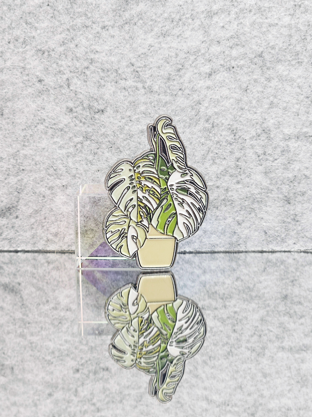 Значок Монстера Альба