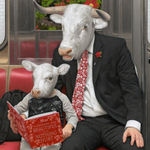 Moby / Everything Was Beautiful, And Nothing Hurt (CD)