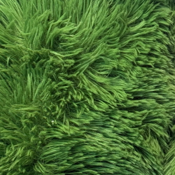 Лягушонок Флаппи