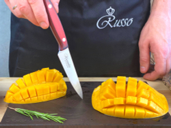 🏆Кухонный нож Alexander S AUS-8 Red G10