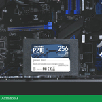 SSD диск Patriot P210 256GB (P210S256G25)