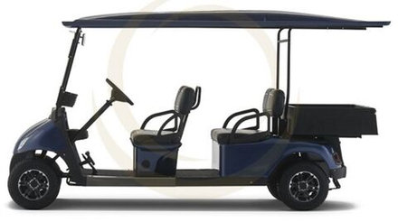 Гольфкар EWAY HM4-1
