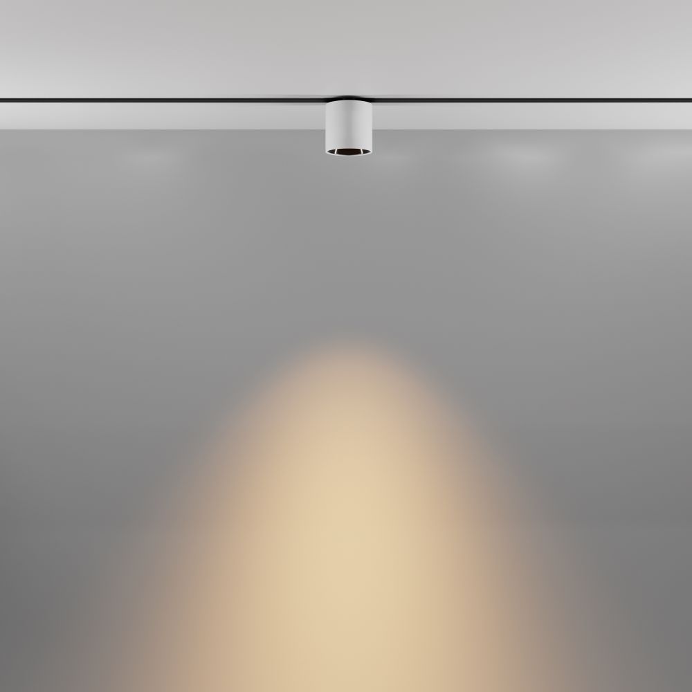 Трековый магнитный светодиодный светильник Maytoni Exility   TR132-2-7W3K-W