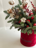 Новогодняя композиция "Красный бархат"