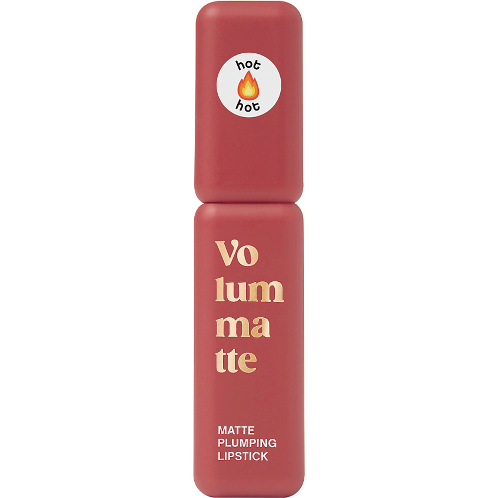 Vivienne Sabo Volummatte Matte Plumping Lipstick Жидкая матовая помада для губ с плампинг-эффектом 05 Вишневый