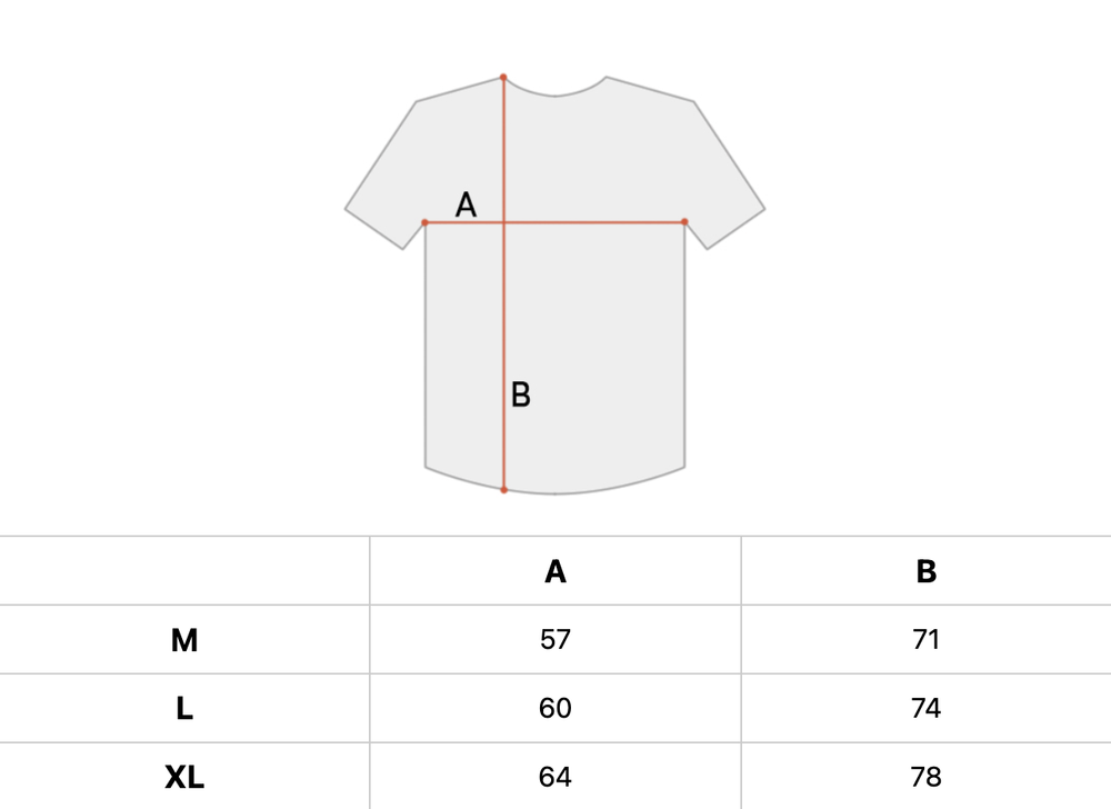 Футболка мужская Carhartt WIP Taos