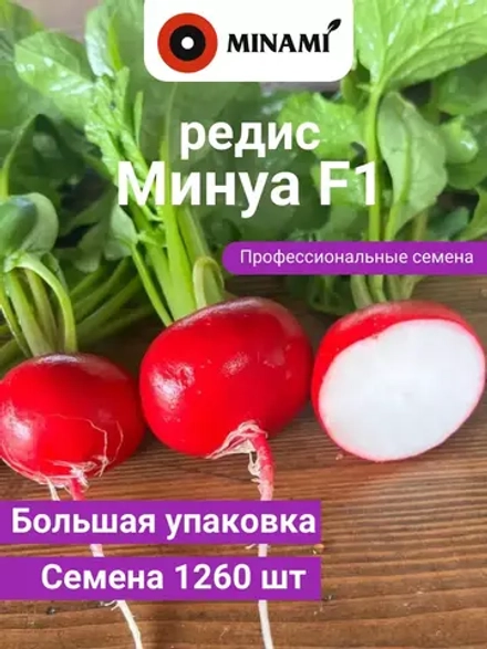 Редис ранний Минуа F1 для открытого грунта