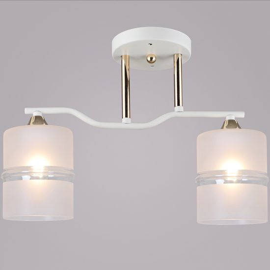 02283-0.3-02 WT+FGD светильник потолочный