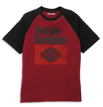 Футболка Heritage Sign Raglan Sleeve  Harley-Davidson