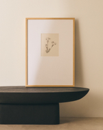 Картина Lirena с ботанической иллюстрацией 70 x 50 см