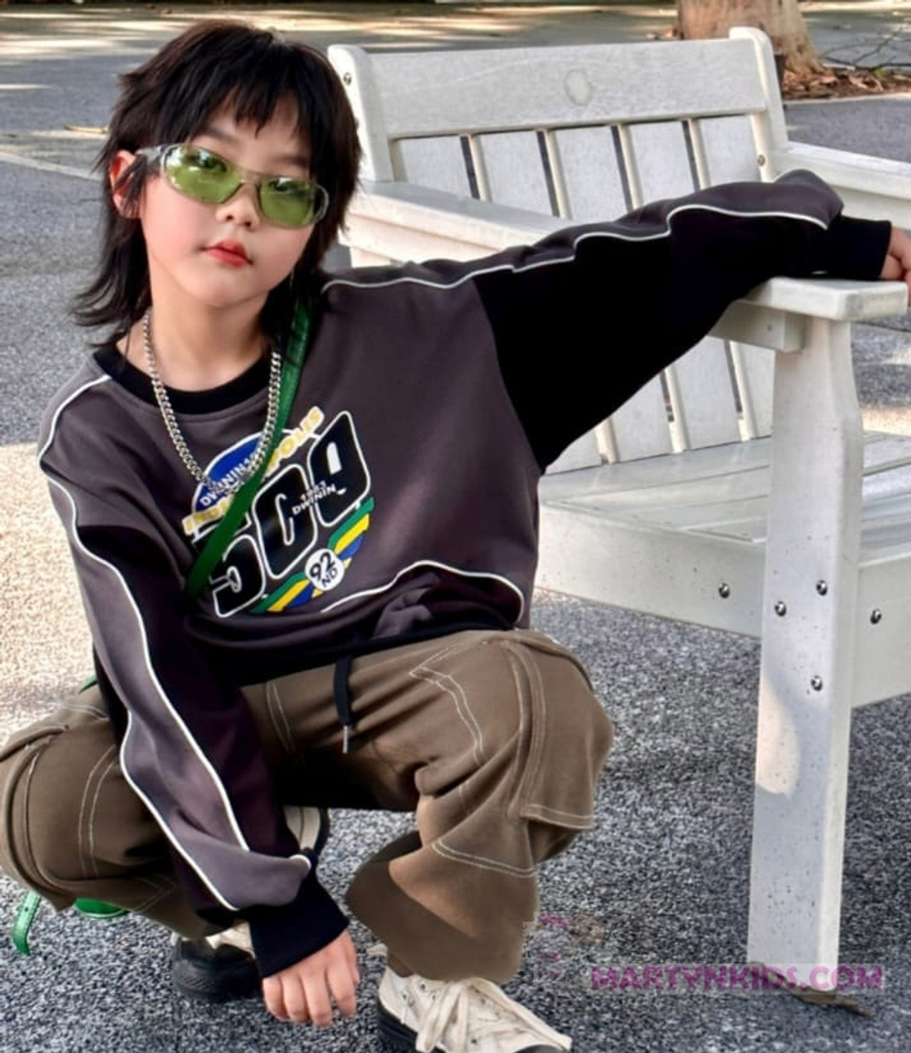 толстовка INDIANAPOLIS "500"  4973