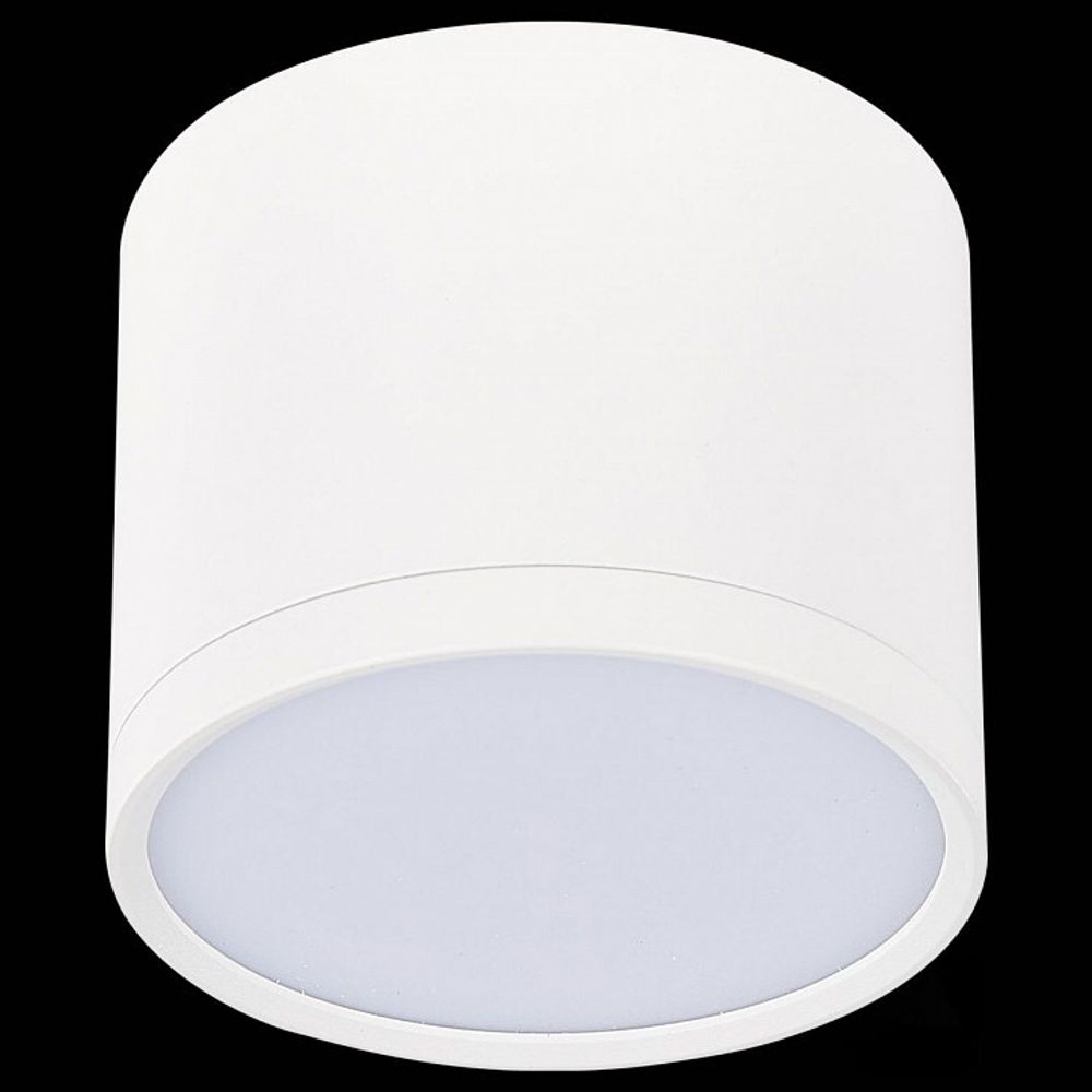 Накладной светильник ST-Luce Rene ST113.542.09