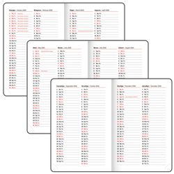 Ежедневник датированный А6 BRAUBERG "Rainbow" (117256) 6