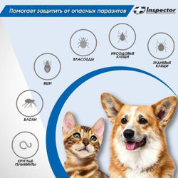 Спрей для собак и кошек от блох, клещей и гельминтов Inspector, Фипронил/Моксидектин/Пирипроксифен, 100мл