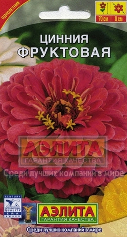 Циния Фруктовая георгиновидная Аэлита
