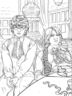 Hachette раскраска по номерам Coloriages mystères -Книга «Гарри Поттер в цифрах: цвета и изображения»