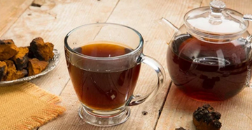 Чага. Мифы vs факты