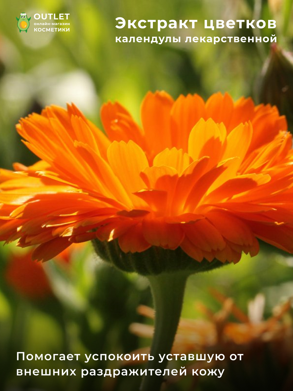 FARMSTAY - ЭМУЛЬСИЯ ДЛЯ ЛИЦА С ЭКСТРАКТОМ КАЛЕНДУЛЫ CALENDULA RELIEF EMULSION, 200 МЛ