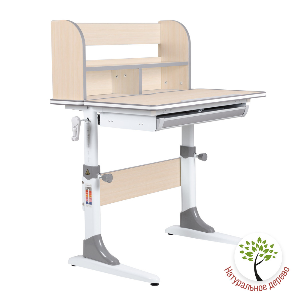 Растущая парта Anatomica Study-80 Lux (800×600 мм)