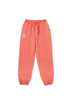 Брюки-джоггеры с принтом salt washing и эмблемой ladok