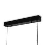 Подвесной светодиодный светильник Freya Even FR5625PL-L45B