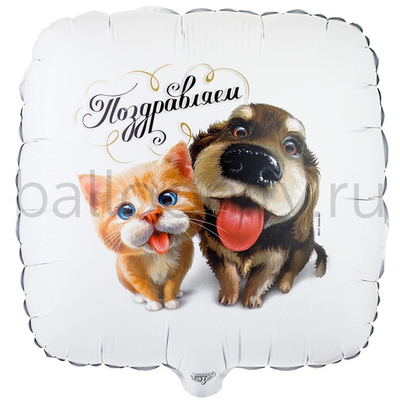 Фольгированная фигура, квадрат, РУС ПОЗДРАВЛЯЕМ Питомцы 18"/46СМ