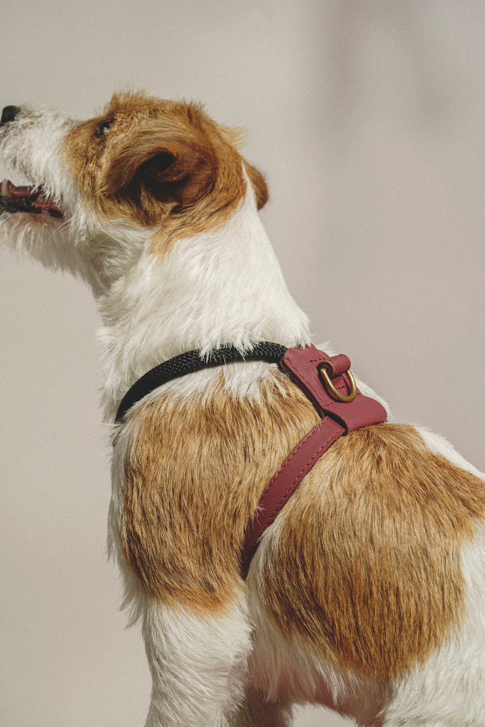 Шлейка "Пони-Макарони" Винная