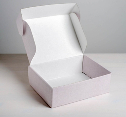 Коробка складная одиночная Прямоугольник «Эко», 27*21*9 см, 1 шт.