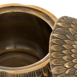 Шкатулка Box Custard Apple арт.113369