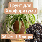 Грунт для Хлорофитума, 1.5 литра