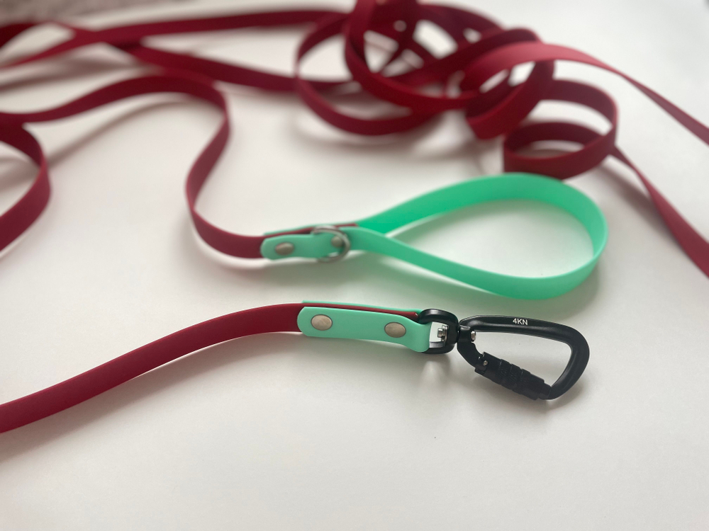 Поводок для собак из биотана, 20 мм , 3 м , винный и мята , карабин авиационный