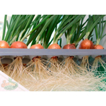 Чудо грядка