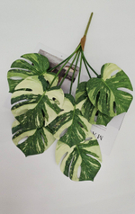 Монстера / Арт 6378